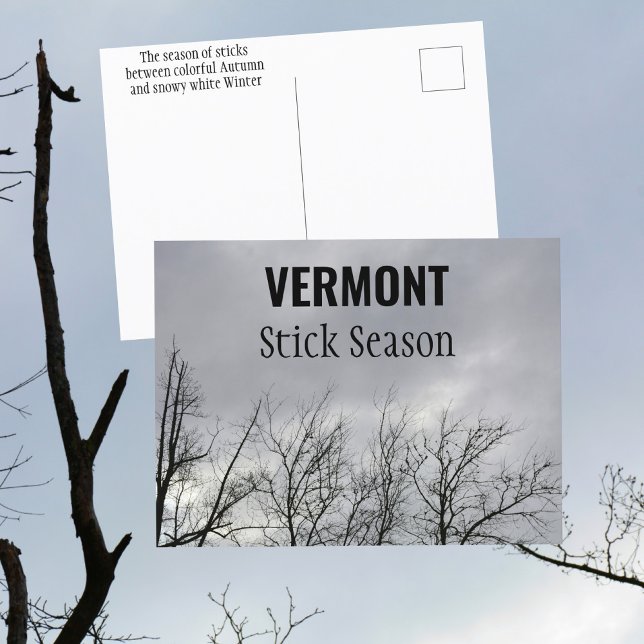 Carte Postale Saison des Bâtons Vermont Photographie de la Nouve (Créateur téléchargé)