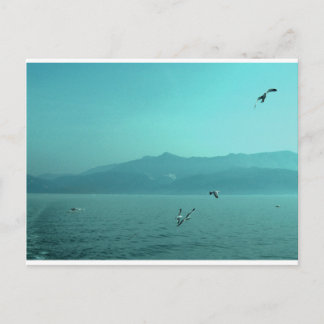Carte Postale saisonnier