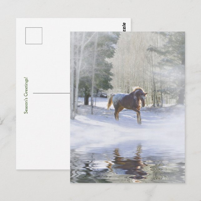 Carte Postale Saisons de Vacances Salutations Cheval à Neige (Devant / Derrière)
