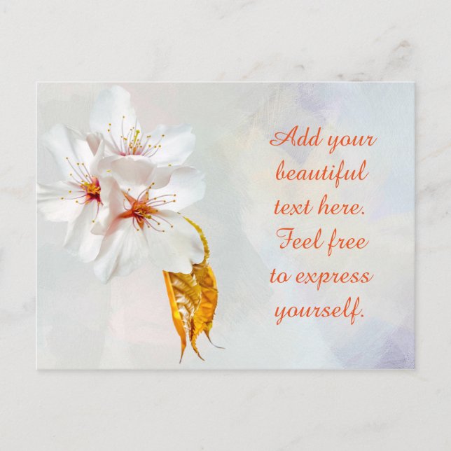 Carte Postale Sakura - Fleur de cerisier japonaise (Devant)