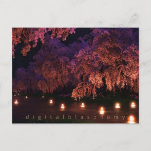 Carte Postale Sakura (Nuit)