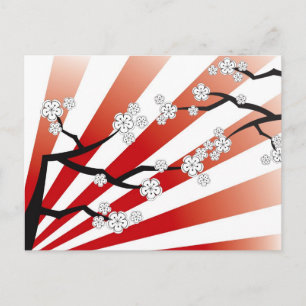 Carte Postale Sakura Sunrise Blanc Cerise Fleurs Fleurs Zen