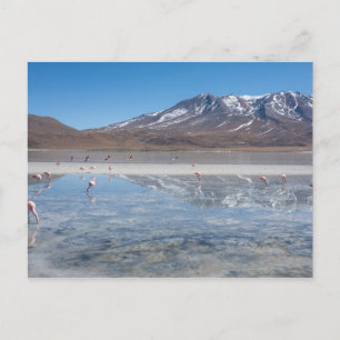 CARTE POSTALE SALAR DE UYUNI SALT PLAT, BOLIVIE