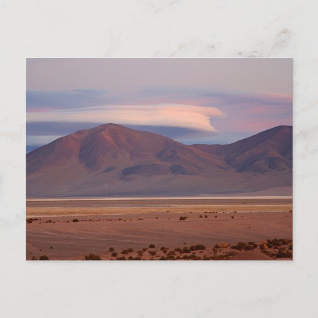 Carte Postale Salar del Huasco, Chili (Devant)