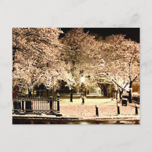 Carte Postale Salem Common Massachusetts Photo sous la neige