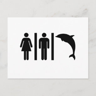 Carte Postale Salle de bain Dolphin