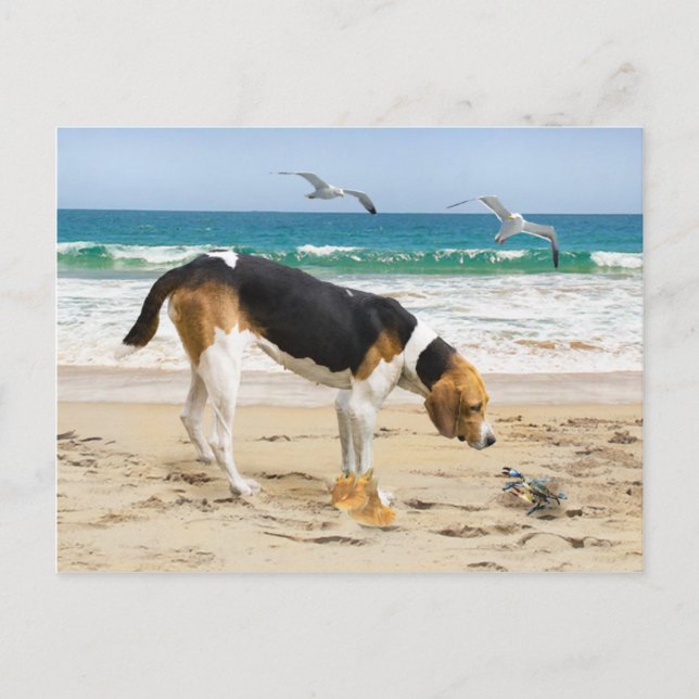 Carte postale "Sally & The Crab" (Devant)