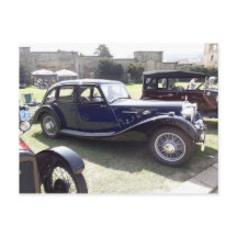 Salon Riley Kestrel Sports