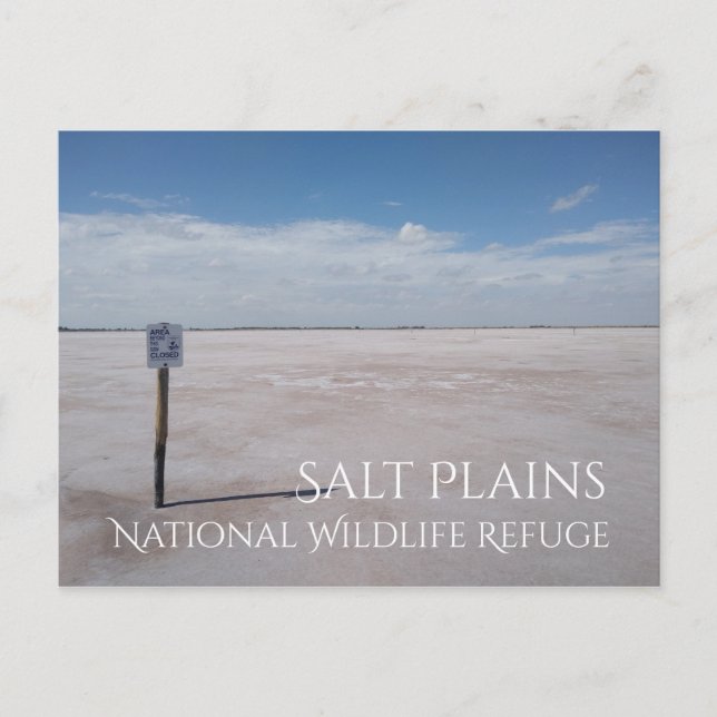 Carte Postale Salt Flats, Salt Plains National Wildlife Refuge (Devant)