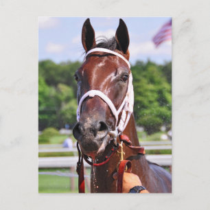 Carte Postale Saluda, fillette de 2 ans par Congaree