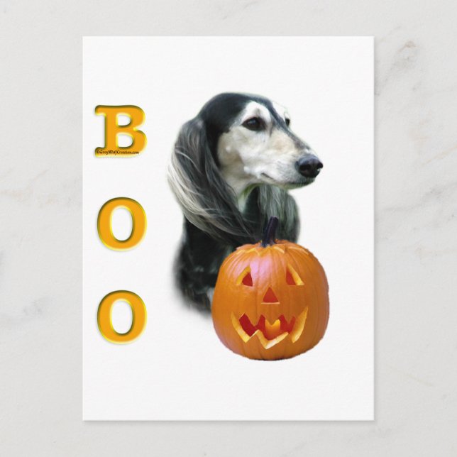 Carte Postale Saluki Boo (Devant)