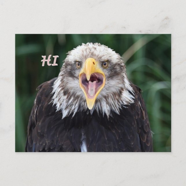 Carte Postale salut (Devant)