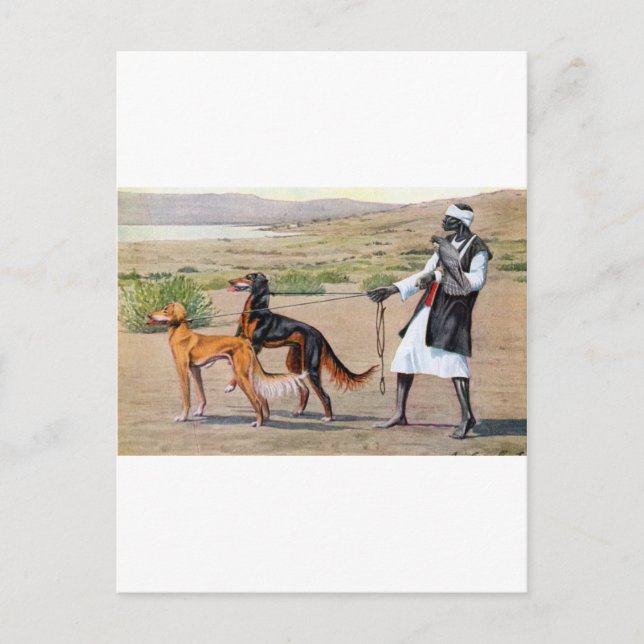 Carte Postale salut (Devant)