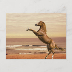 Carte Postale Salut au matin