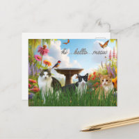Salut Bonjour Miaou / Chats dans le Jardin Animal 