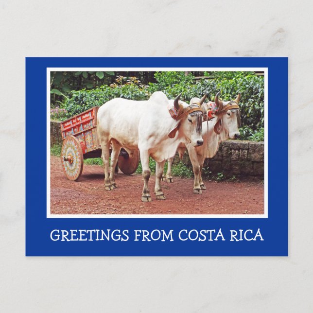 CARTE POSTALE SALUT DU COSTA RICA/OXCART ET OXEN (Devant)