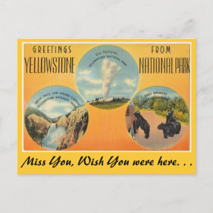 Carte Postale Salut du parc national Yellowstone