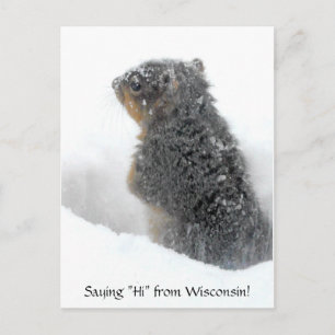 Carte Postale Salut du Wisconsin Snowy Squirrel