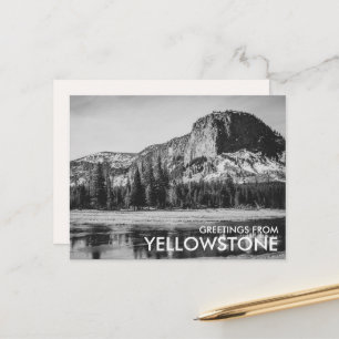 Carte Postale Salut noir et blanc de Yellowstone