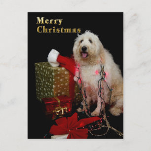 Carte postale - salutation de Noël - chienchien