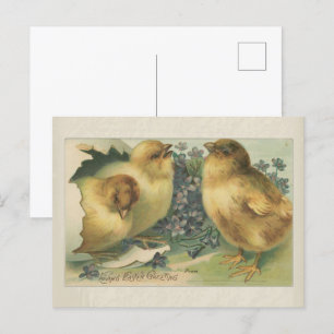 Carte Postale Salutation de Pâques vintage 1898 pour les poussin