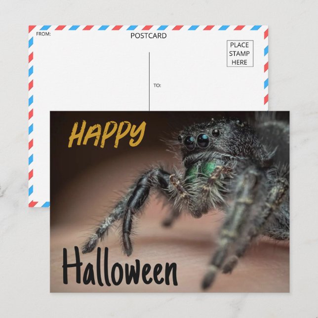 Carte Postale Salutation éffrayant Spider Halloween (Devant / Derrière)