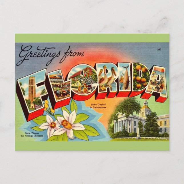 Carte Postale Salutation Floride Vintage (Devant)