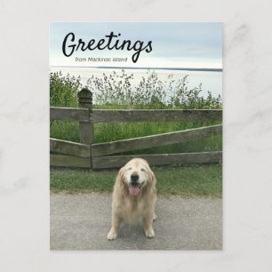 Carte Postale Salutation Golden Retriever de Mackinac Island