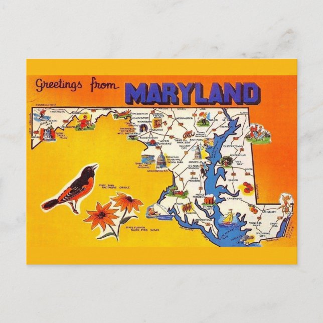 Carte Postale Salutation vintage du Maryland (Devant)