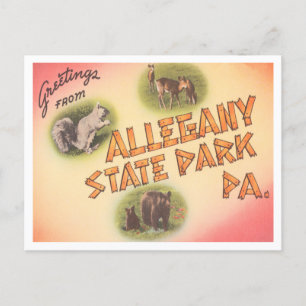 Carte Postale Salutations de Allegany State Park, Pennsylvanie