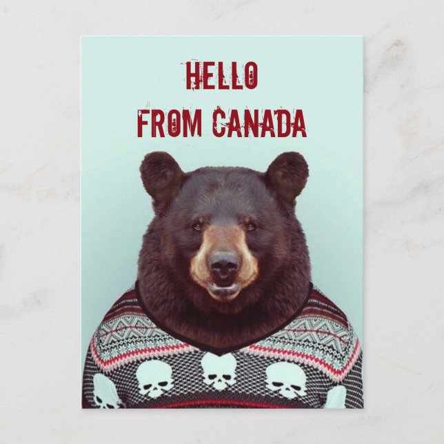 Carte Postale Salutations, de Bear (Devant)