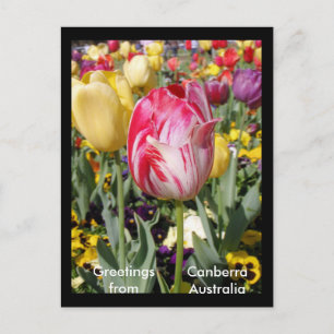 Carte Postale Salutations de Canberra Australie