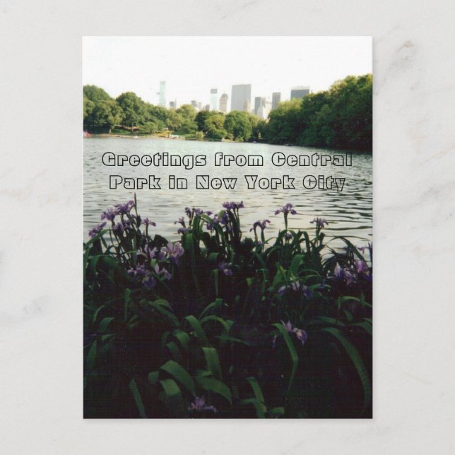 Carte Postale Salutations de Central Park à New York (Devant)