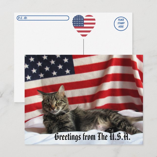 Carte Postale Salutations de chats du poste-poste américain (Devant / Derrière)