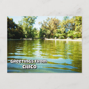 Carte Postale Salutations de Chico (vous pouvez changer les mots