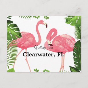 Carte Postale Salutations de Clearwater, FL
