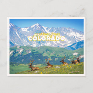 Carte Postale Salutations de Colorado Mountain Scene Photo