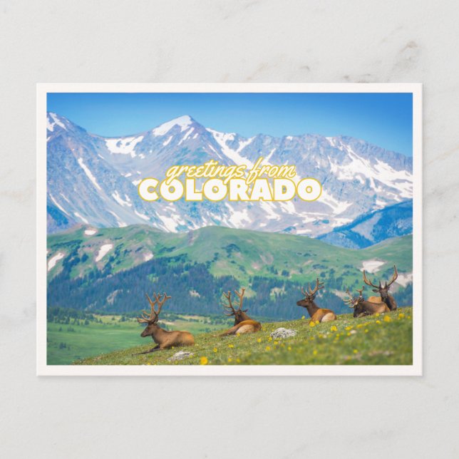 Carte Postale Salutations de Colorado Mountain Scene Photo (Devant)