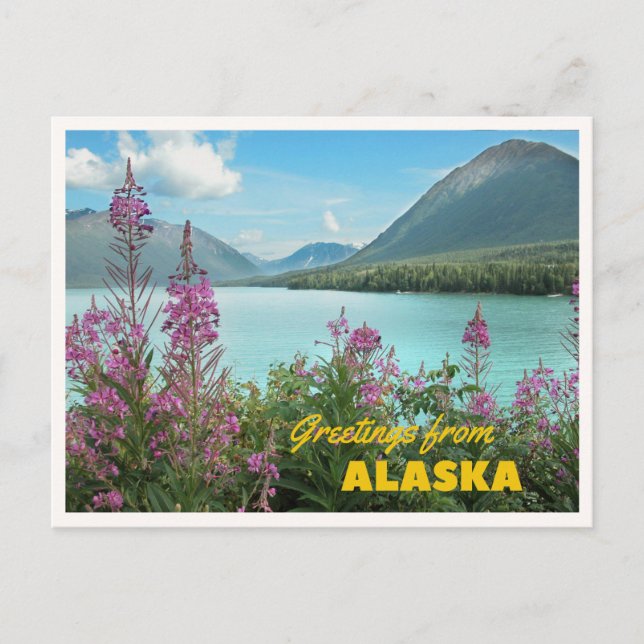 Carte Postale Salutations de croisière d'été en Alaska Rétro (Devant)