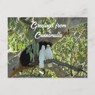 Carte Postale Salutations de Cunnamulla