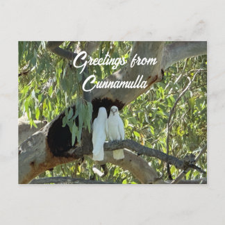 Carte Postale Salutations de Cunnamulla