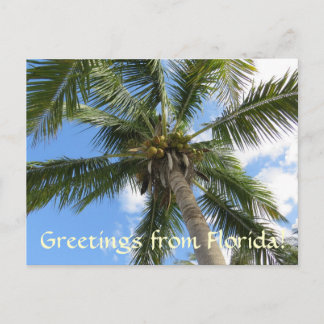Carte Postale Salutations de FLorida / cocotier palmier