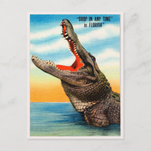 Carte Postale Salutations de Floride Alligator Vintage voyage