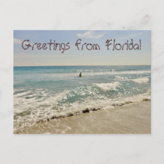 Carte Postale Salutations de Floride Miami