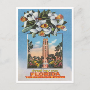 Carte Postale Salutations de Floride, Sunshine State Travel