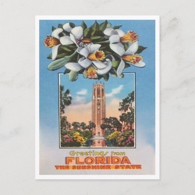 Carte Postale Salutations de Floride, Sunshine State Travel (Devant)