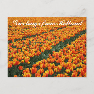 Carte postale "Salutations de Hollande"