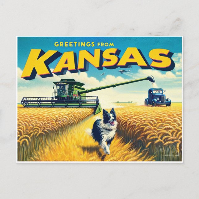 Carte Postale Salutations de Kansas Blé Combine Frontière Collie (Devant)