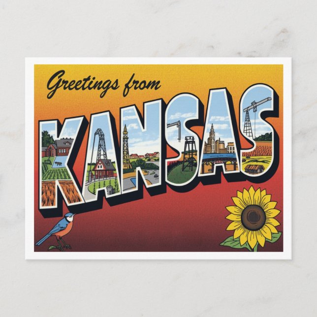 Carte Postale Salutations de Kansas Sunflower (Devant)