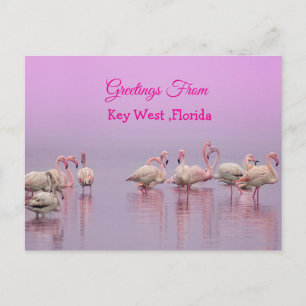 Carte Postale Salutations de Key West Floride, Flamants Roses